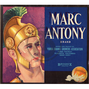 Marc Antony Brand Sunkist Yorba Orange Growers Assn Placentia CA BrogdeX Marc Antony Brand Sunkist Yorba Orange Growers Assn Placentia CA BrogdeX