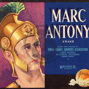 Marc Antony Brand Sunkist Yorba Orange Growers Assn Placentia CA BrogdeX