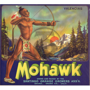 Mohawk Valencias Santiago Orange Growers Assn CA