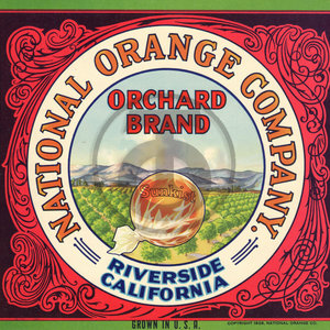 National Orange Company Orchard Brand - Sunkist