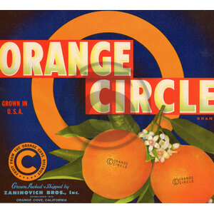 Orange Circle Brand Orange Circle Brand