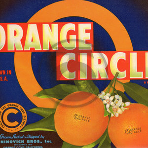 Orange Circle Brand