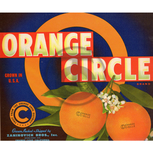 Orange Circle Brand