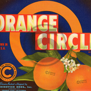 Orange Circle Brand