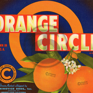 Orange Circle Brand