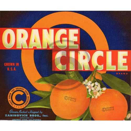 Orange Circle Brand