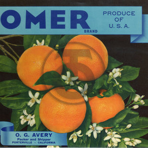 Omer Brand