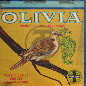 Olivia Brand