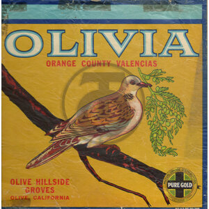 Olivia Brand Olivia Brand