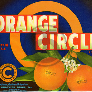 Orange Circle Brand