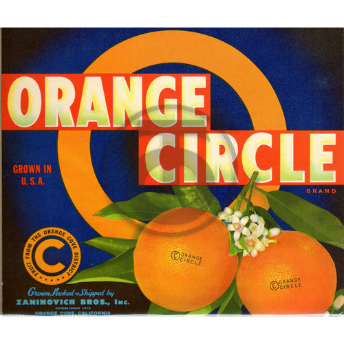 Orange Circle Brand