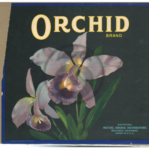 Orchid Brand