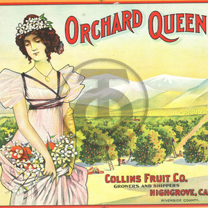 Orchard Queen Brand