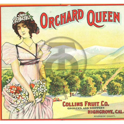 Orchard Queen Brand