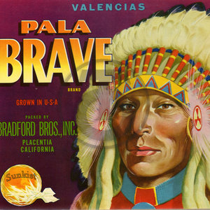 Pala Brave Valencias