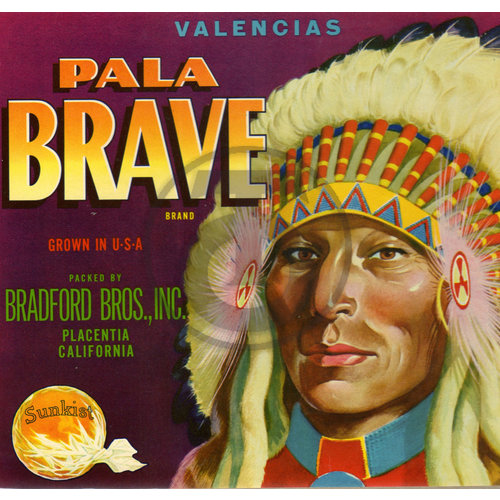 Pala Brave Valencias