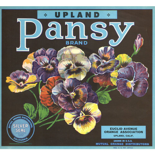 Pansy Upland Brand