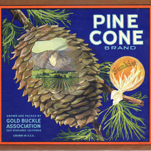 Pine Cone Brand