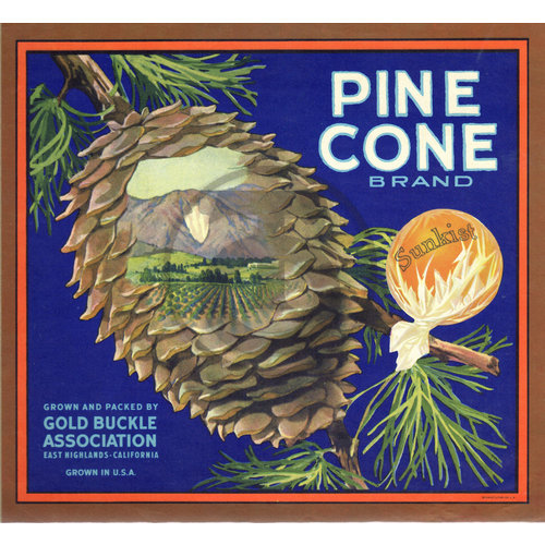 Pine Cone Brand