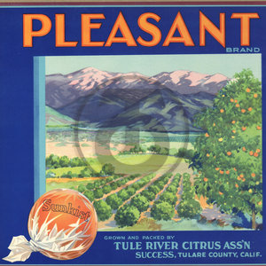 Pleasant Brand