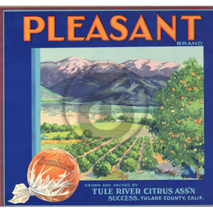 Pleasant Brand