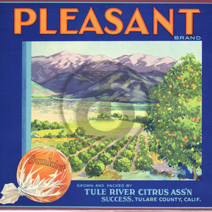 Pleasant Brand