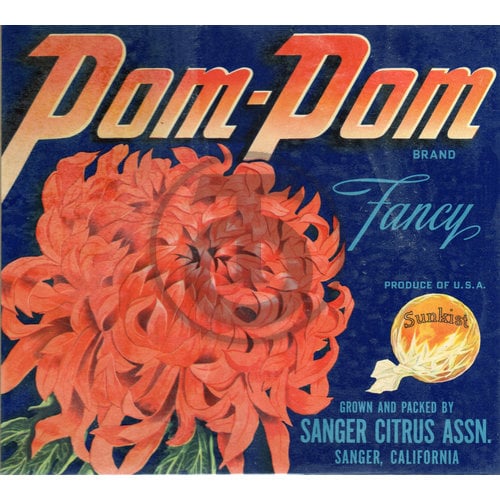Pom-Pom Brand
