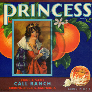 Princess Brand Oranges - Sunkist