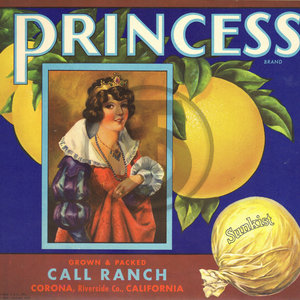 Princess Brand Grapefruit - Sunkist