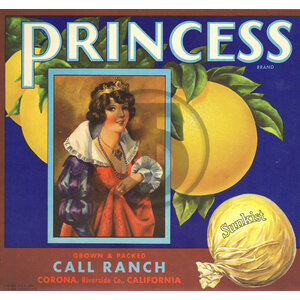 Princess Brand Grapefruit - Sunkist