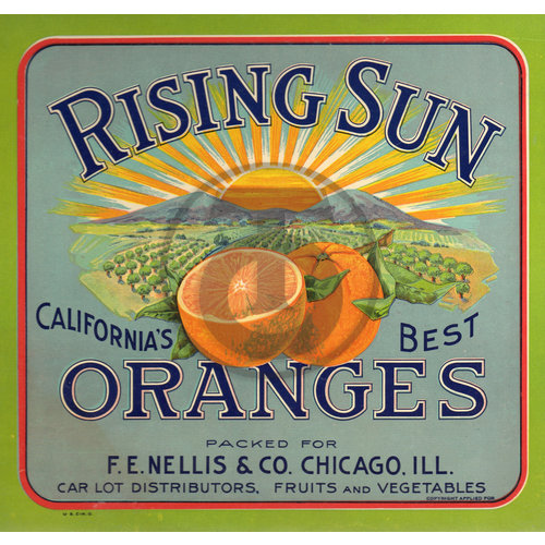 Rising Sun Oranges