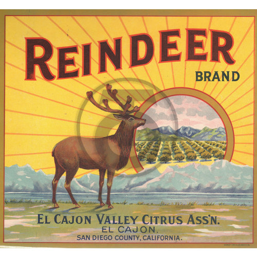 Reindeer Brand