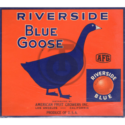 Riverside Blue Goose