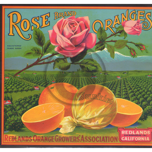 Rose Brand Oranges