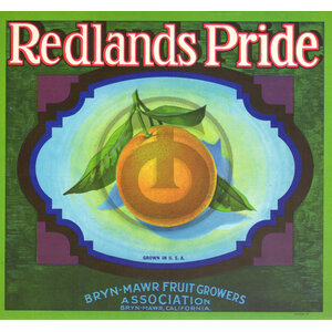 Redlands Pride