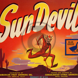 Sun Devil