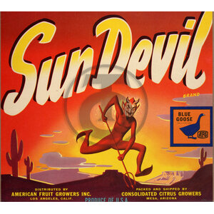 Sun Devil Sun Devil