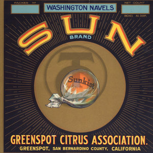 Sun Brand Washington Navels
