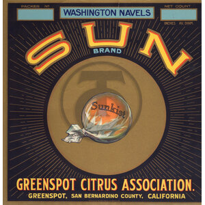 Sun Brand Washington Navels