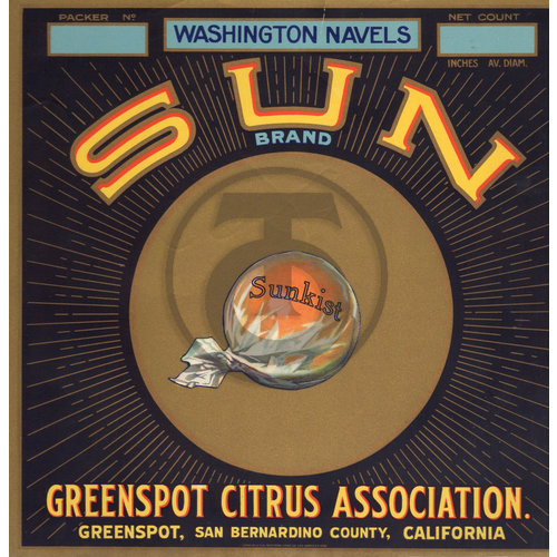 Sun Brand Washington Navels