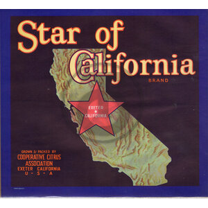 Star of California Star of California