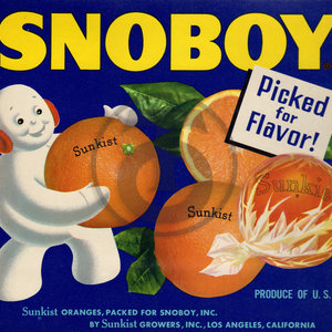 Snoboy - Sunkist