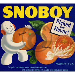 Snoboy - Sunkist Snoboy - Sunkist