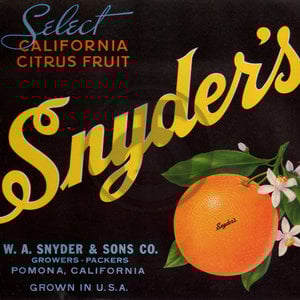Snyder's Brand - Black