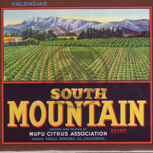 South Mountain Valencias