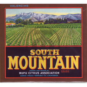 South Mountain Valencias South Mountain Valencias