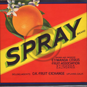Spray