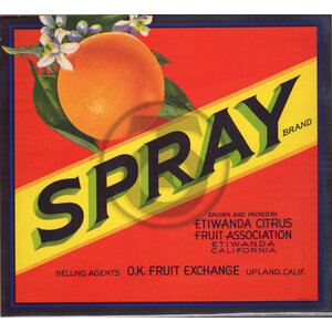 Spray Spray