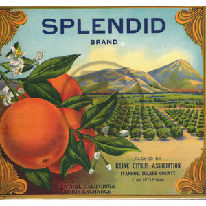Splendid Brand Splendid Brand