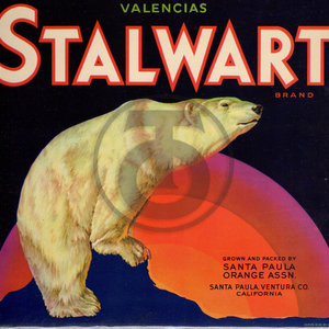 Stalwart